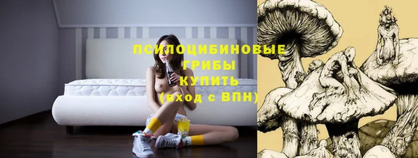 эйфоретик Корсаков
