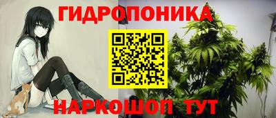 ешки Пушкино