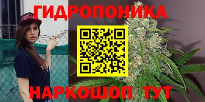 ешки Пушкино