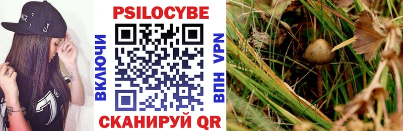 Псилоцибиновые грибы Psilocybe  Ноябрьск 