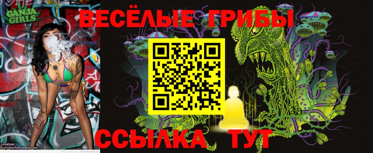 Псилоцибиновые грибы Magic Shrooms  Галлюциногенные грибы Psilocybe  Вход с VPN  Ноябрьск 